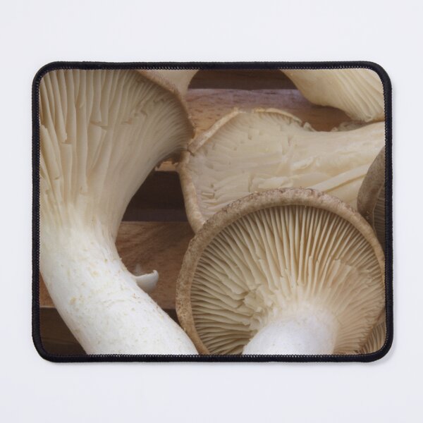Item preview, Mushrooms designed and sold by SmoothBreeze7 | Liz Collet Photography.