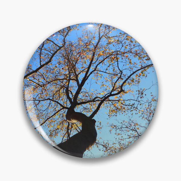 Item preview, Plane Tree on a Beautiful Autumn Day designed and sold by KaSaPo.
