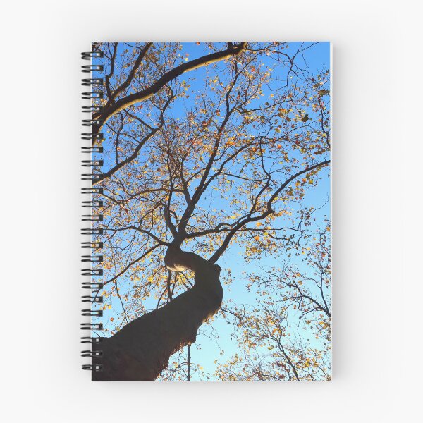 Item preview, Plane Tree on a Beautiful Autumn Day designed and sold by KaSaPo.