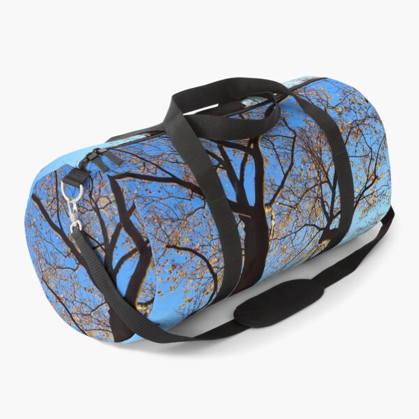 Item preview, Plane Tree on a Beautiful Autumn Day designed and sold by KaSaPo.