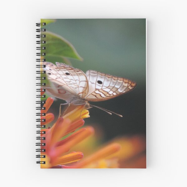 Item preview, Butterfly in the firebush designed and sold by Jmb67.