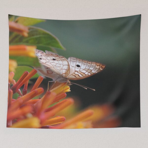Item preview, Butterfly in the firebush designed and sold by Jmb67.
