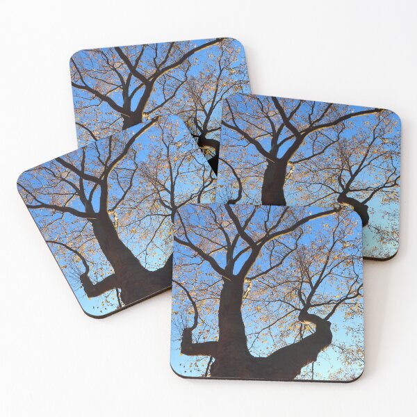 Item preview, Plane Tree on a Beautiful Autumn Day designed and sold by KaSaPo.