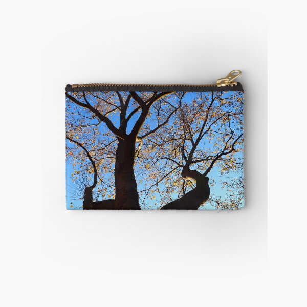 Item preview, Plane Tree on a Beautiful Autumn Day designed and sold by KaSaPo.