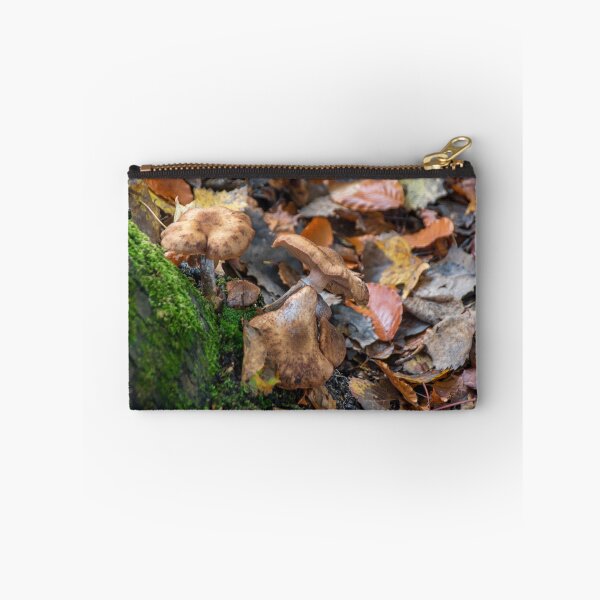 Item preview, Group of Mushrooms Grows on a Tree Trunk 2 designed and sold by jrtwynam.