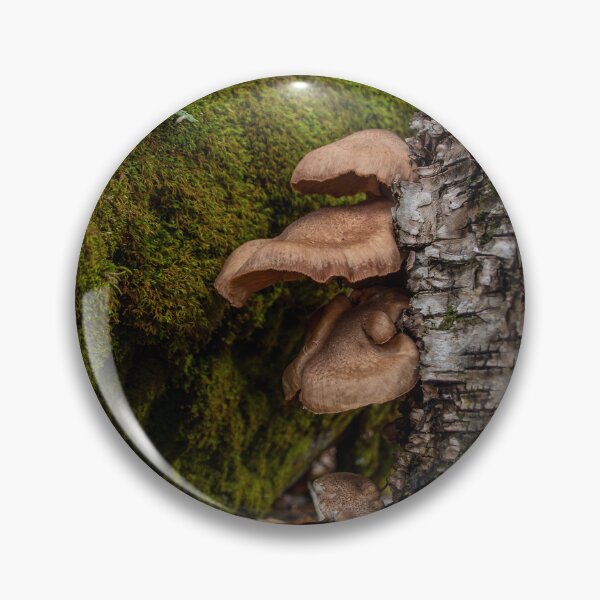Item preview, Group of Mushrooms Grows on a Tree Trunk 3 designed and sold by jrtwynam.