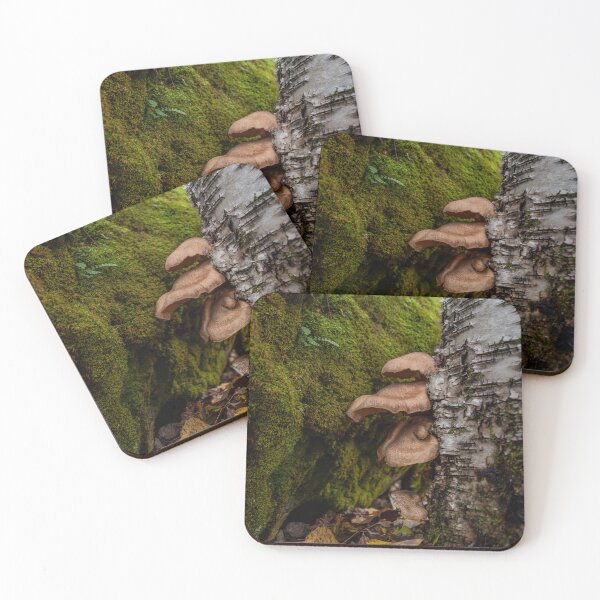 Item preview, Group of Mushrooms Grows on a Tree Trunk 3 designed and sold by jrtwynam.