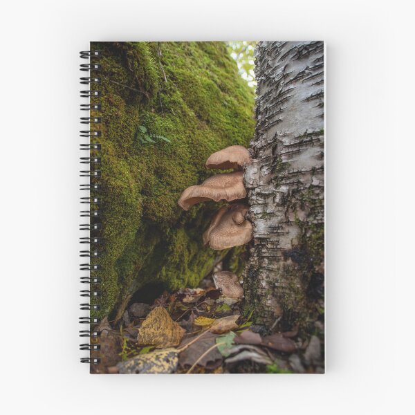 Item preview, Group of Mushrooms Grows on a Tree Trunk 3 designed and sold by jrtwynam.