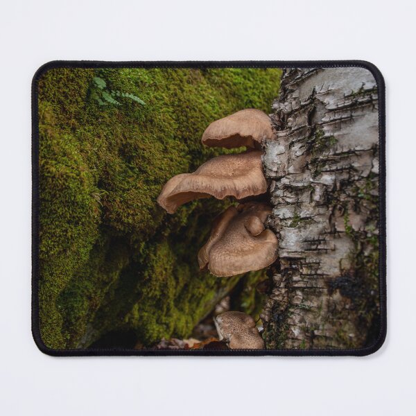 Item preview, Group of Mushrooms Grows on a Tree Trunk 3 designed and sold by jrtwynam.