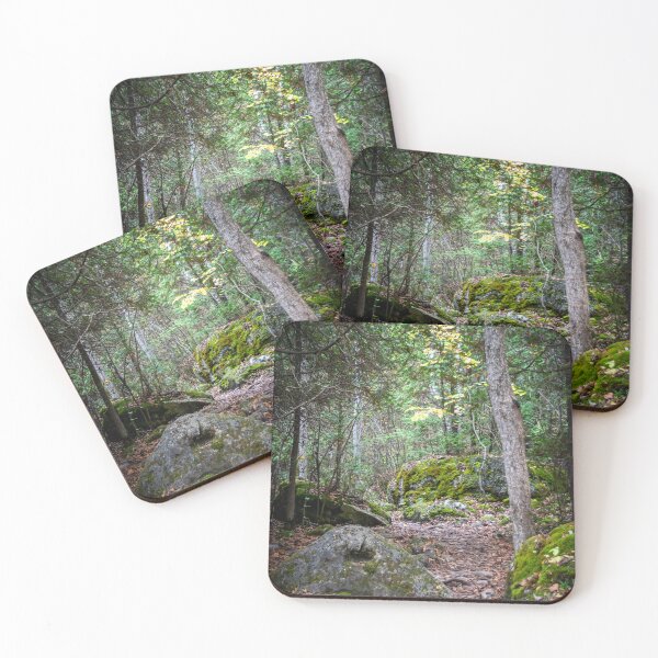 Item preview, Rocky Hiking Trail in Lion's Head, Ontario designed and sold by jrtwynam.