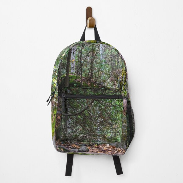 Item preview, Rocky Hiking Trail in Lion's Head, Ontario designed and sold by jrtwynam.