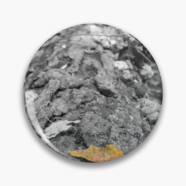 Item preview, Autumn Leaf on a Log in Selective Colour designed and sold by jrtwynam.