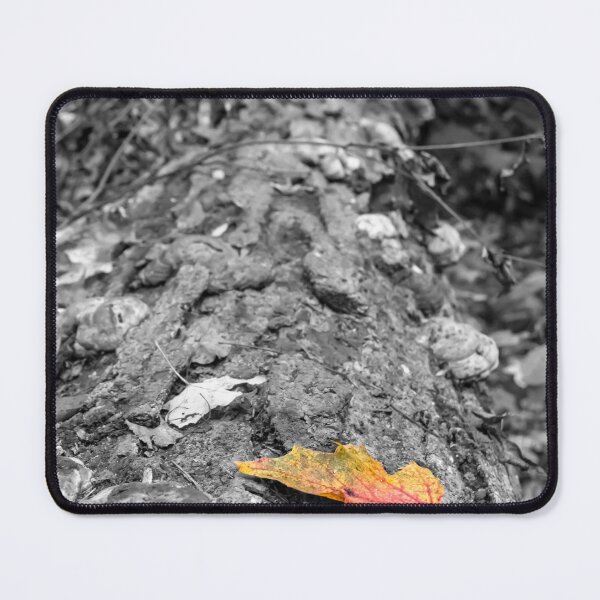 Item preview, Autumn Leaf on a Log in Selective Colour designed and sold by jrtwynam.
