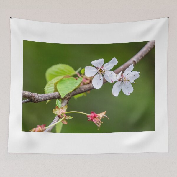 Item preview, Spring Bloom designed and sold by barkeypf.
