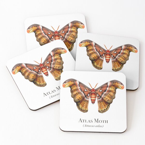 Item preview, Atlas Moth designed and sold by Michael Seibert.