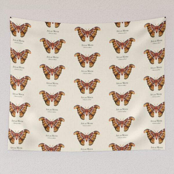 Item preview, Atlas Moth designed and sold by Michael Seibert.