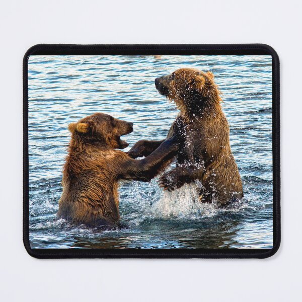 Item preview, Young Kodiak Brown Bears Play Wrestle In Water Alaska designed and sold by RocketshipRetro.
