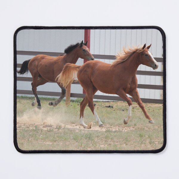 Item preview, Fillies at Play designed and sold by Sandy Shiner-Swanson.