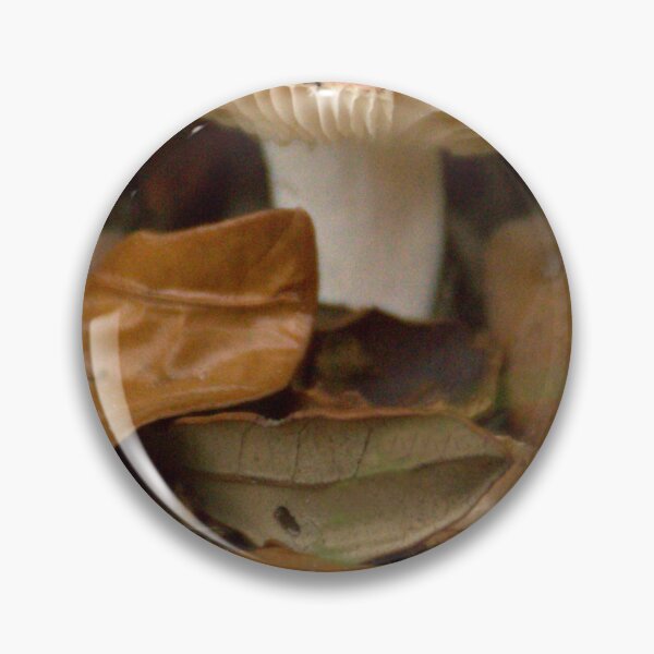 Item preview, One Front Yard Mushroom designed and sold by MercerImages.