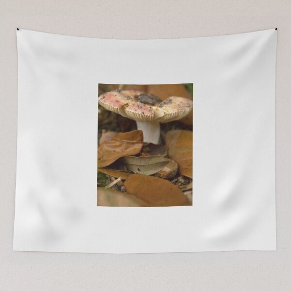 Item preview, One Front Yard Mushroom designed and sold by MercerImages.