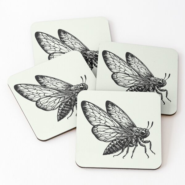 Item preview, Cicada insect, bug, entomologist  designed and sold by iclipart.