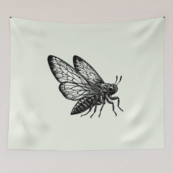 Item preview, Cicada insect, bug, entomologist  designed and sold by iclipart.