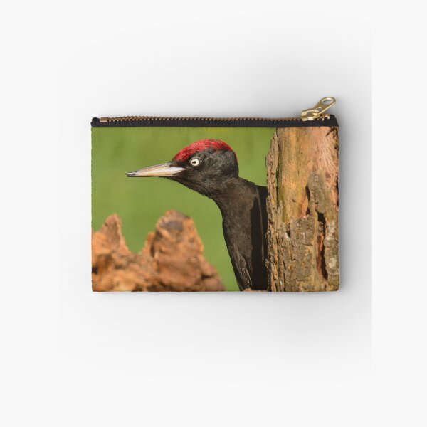 Item preview, Black woodpecker designed and sold by DesignAstur.