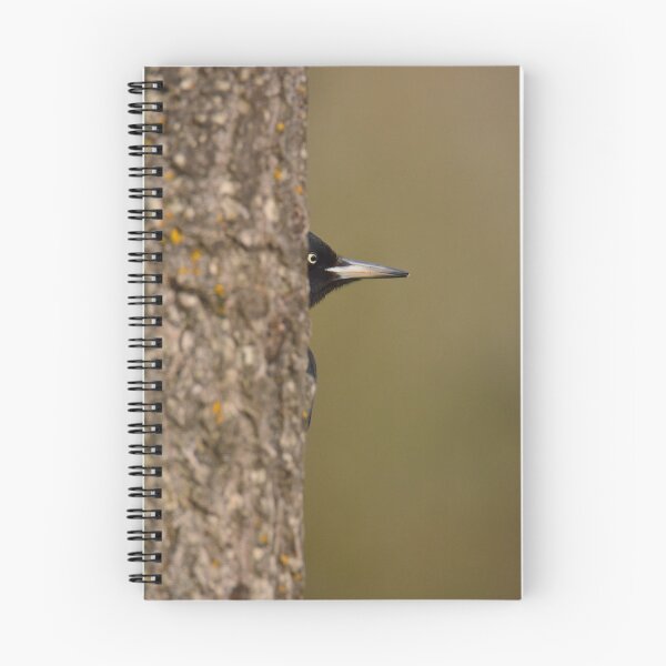 Item preview, Black woodpecker designed and sold by DesignAstur.