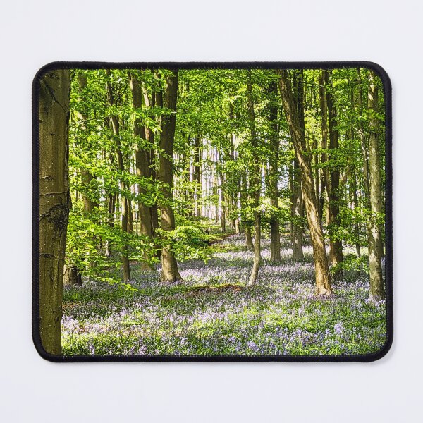 Item preview, A beautiful English Bluebell Woodland. designed and sold by Jim Key.