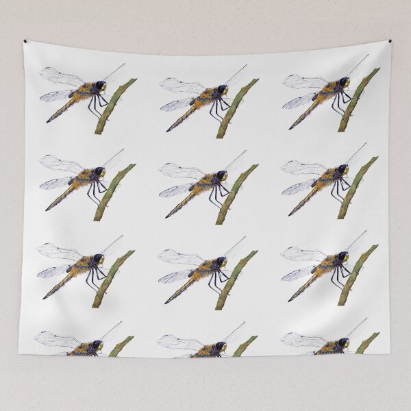 Item preview, Hairy Dragonfly Insect Watercolor Painting Artwork designed and sold by Alison Langridge.
