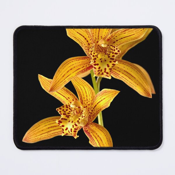 Item preview, Orchids Cymbidium Chen's Ruby Gold Tiger designed and sold by RocketshipRetro.