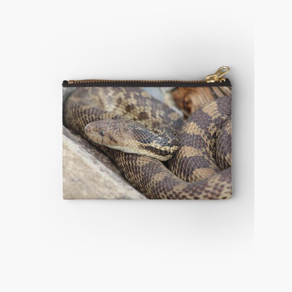 Item preview, Wildlife Snake 01 designed and sold by EricKetchell.