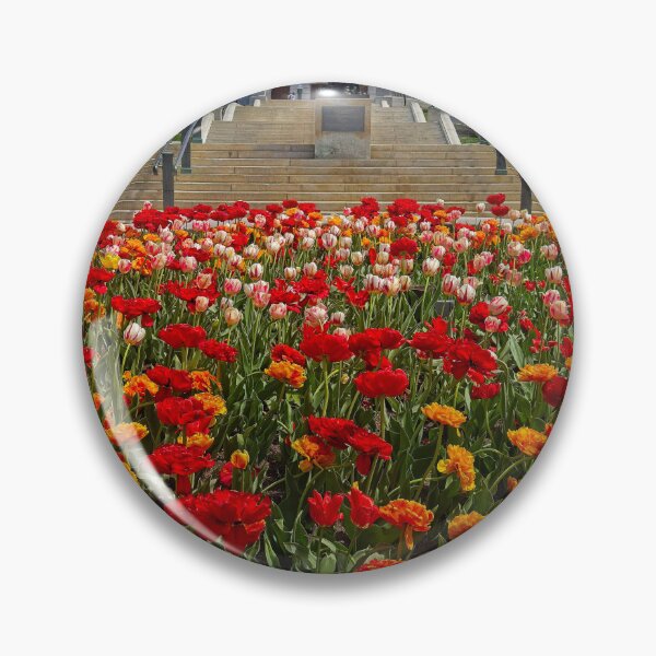 Item preview, Madison Capitol with Tulips designed and sold by StevenRalserPhoto.