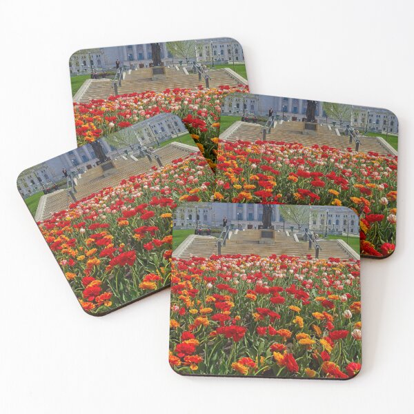 Item preview, Madison Capitol with Tulips designed and sold by StevenRalserPhoto.