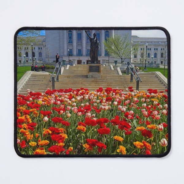 Item preview, Madison Capitol with Tulips designed and sold by StevenRalserPhoto.