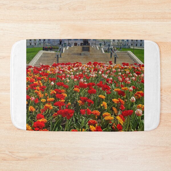 Item preview, Madison Capitol with Tulips designed and sold by StevenRalserPhoto.