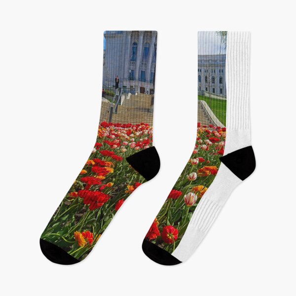 Item preview, Madison Capitol with Tulips designed and sold by StevenRalserPhoto.