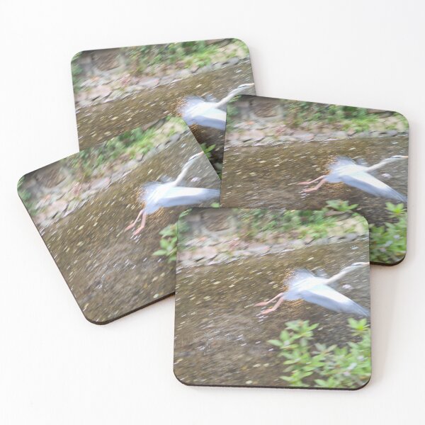 Item preview, Flight designed and sold by swan2sky.