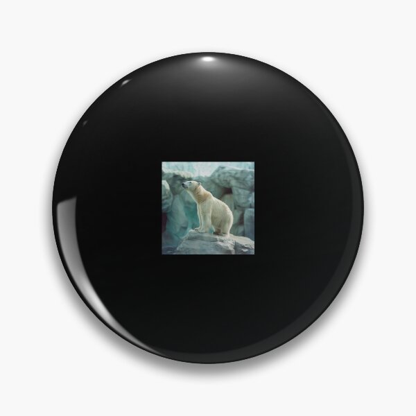 Item preview, polar bear | Photography designed and sold by ComicsFactory.