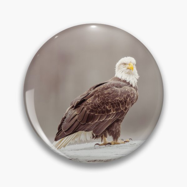 Item preview, Bald Eagle High on a Riverbank Haines Alaska designed and sold by PhotoArt by Joan Carroll.