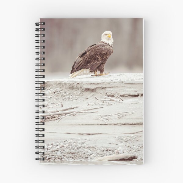 Item preview, Bald Eagle High on a Riverbank Haines Alaska designed and sold by PhotoArt by Joan Carroll.