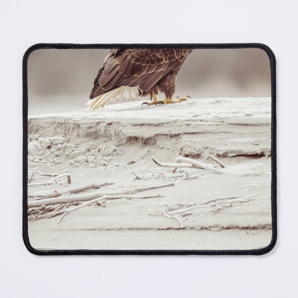 Item preview, Bald Eagle High on a Riverbank Haines Alaska designed and sold by PhotoArt by Joan Carroll.