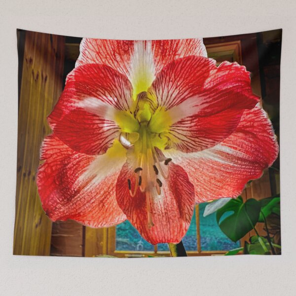 Item preview, Ka-Boom! designed and sold by Steve Walser.