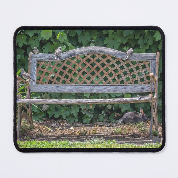 Item preview, Four Fledglings, One Lizard, One Rabbit Out and About designed and sold by CarolM.