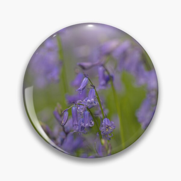 Item preview, A carpet of bluebell flowers in a woodland. designed and sold by RobThorley.