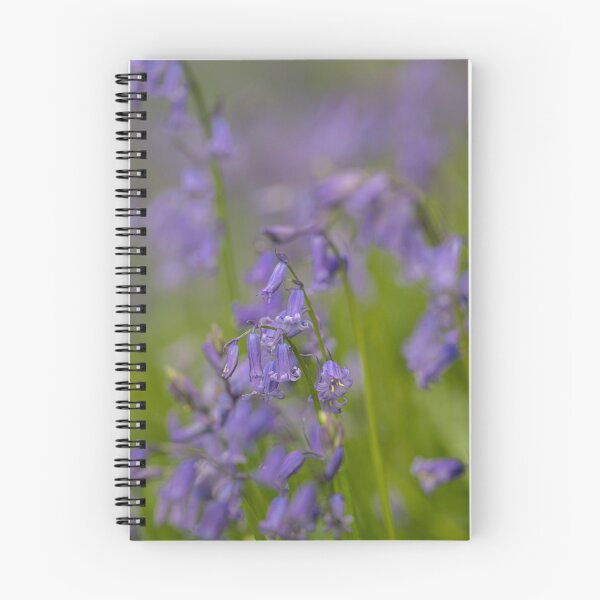 Item preview, A carpet of bluebell flowers in a woodland. designed and sold by RobThorley.