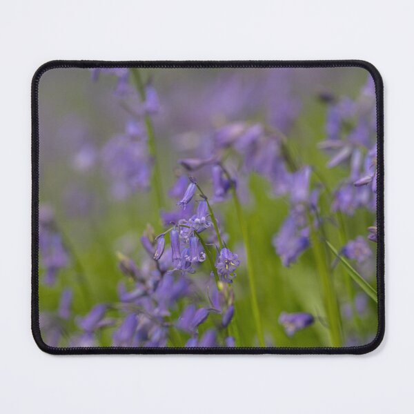 Item preview, A carpet of bluebell flowers in a woodland. designed and sold by RobThorley.