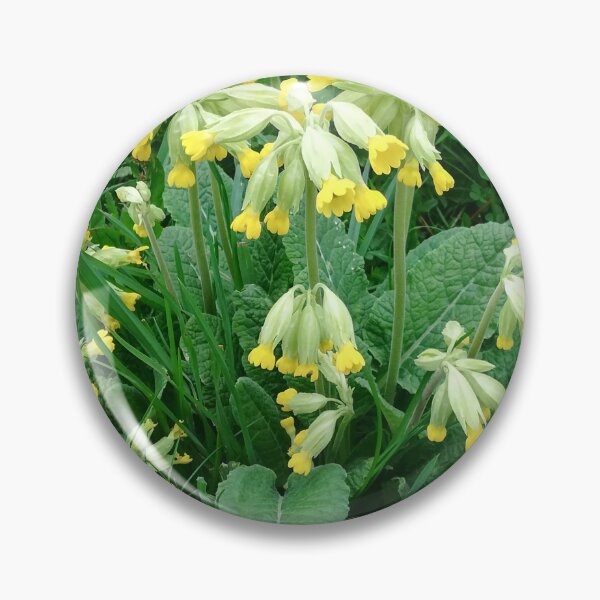 Item preview, Cowslips photograph  designed and sold by esvb.