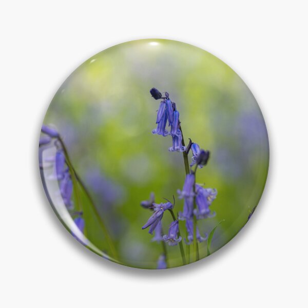Item preview, A carpet of bluebell flowers in a woodland. designed and sold by RobThorley.