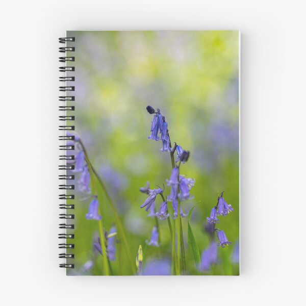 Item preview, A carpet of bluebell flowers in a woodland. designed and sold by RobThorley.